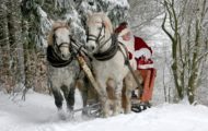 Weihnachtsmann im Schlitten